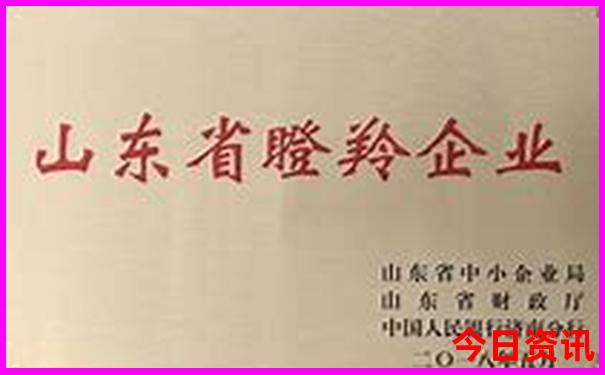 暑假去哪个草原好玩