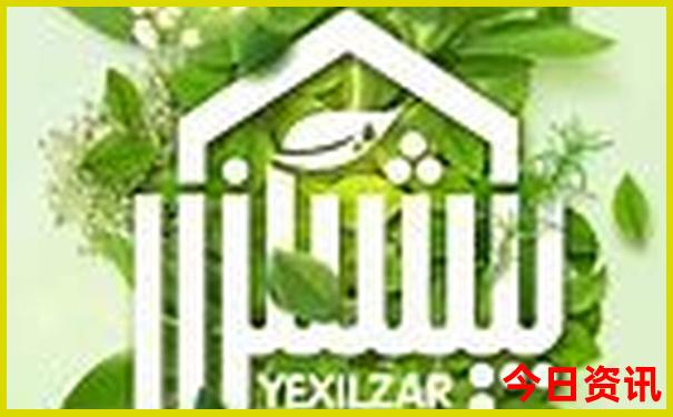 手机号码网上选号免费